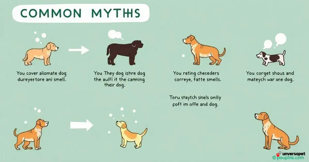 Os mitos sobre os cheiros e cães